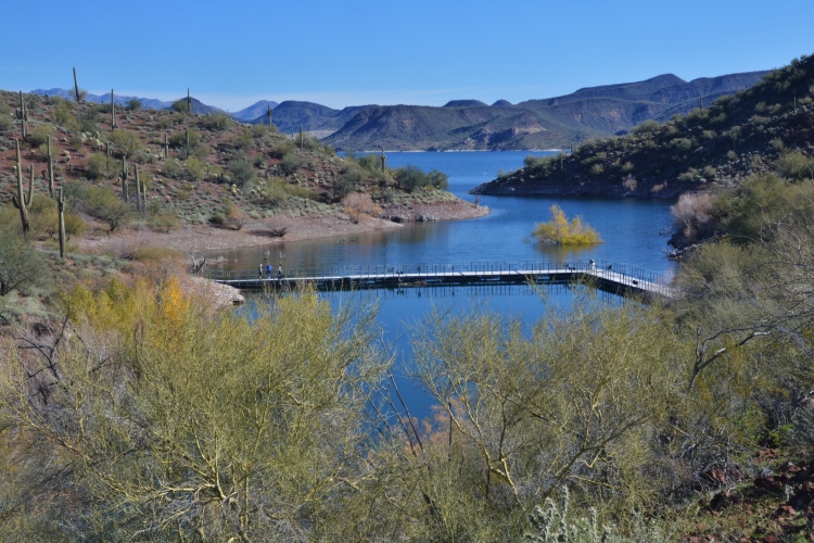 Floating bridge on the Pipeline Canyon Trail